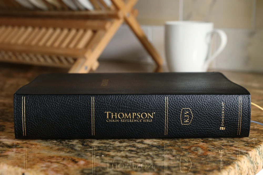 KJV, Thompson Chain-Reference Bible, Handy Size, Red Letter, Comfort Print - Image 8