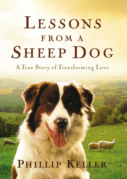 Lessons from a Sheep Dog: A True Story of Transforming Love - Image 2