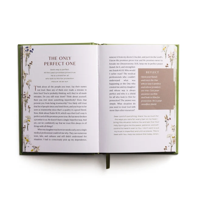 Living Open-Handed: Devotions for Surrendering Control and Finding Joy in the Unexpected - Image 3