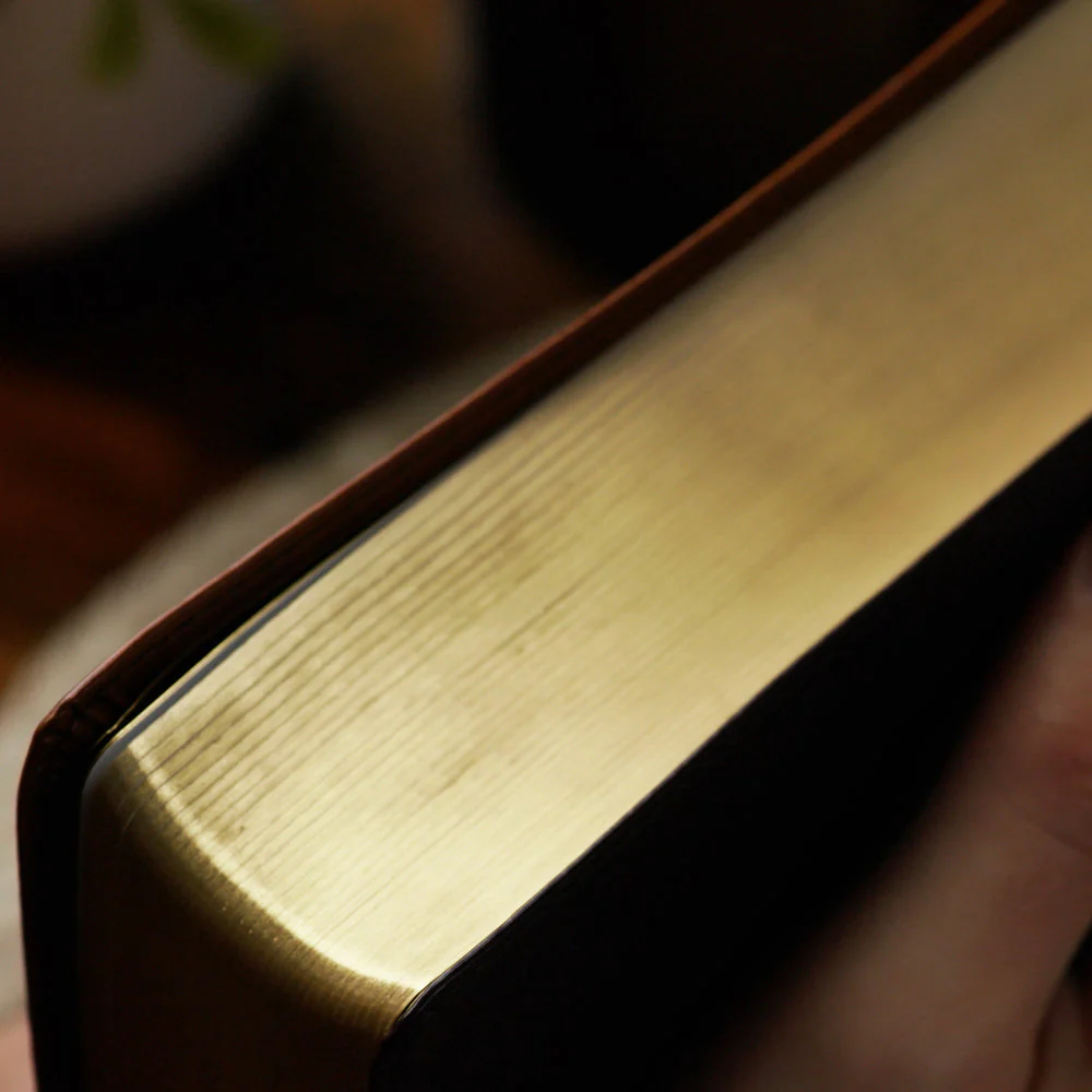 LSB MacArthur Study Bible 2nd Edition: Unleashing God's Truth One Verse at a Time, Comfort Print - Image 46