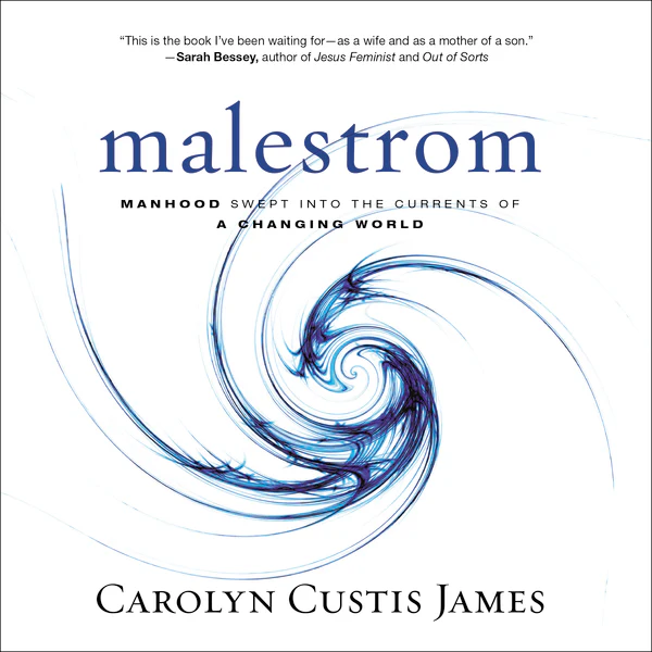 Malestrom: Manhood Swept into the Currents of a Changing World - Audiobook (Unabridged)