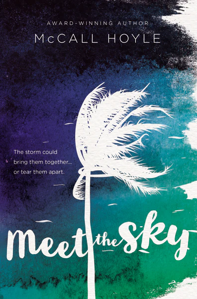 Meet the Sky - Image 2