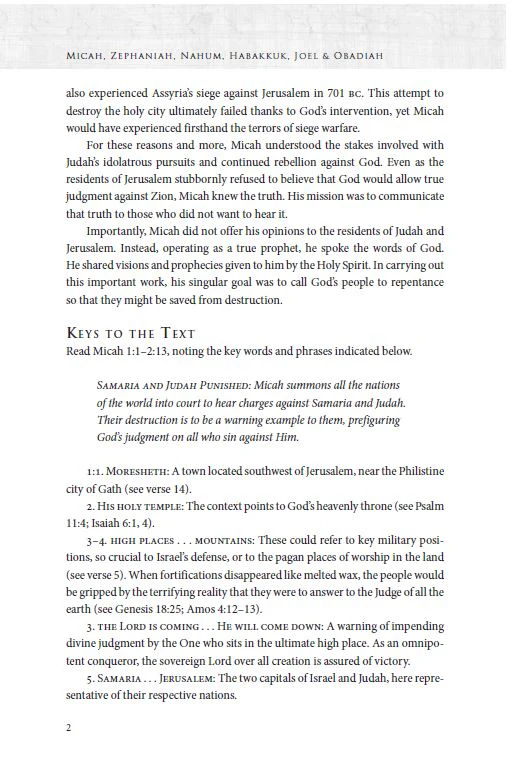 Micah, Zephaniah, Nahum, Habakkuk, Joel, and Obadiah: God's Comfort for His People - Image 12