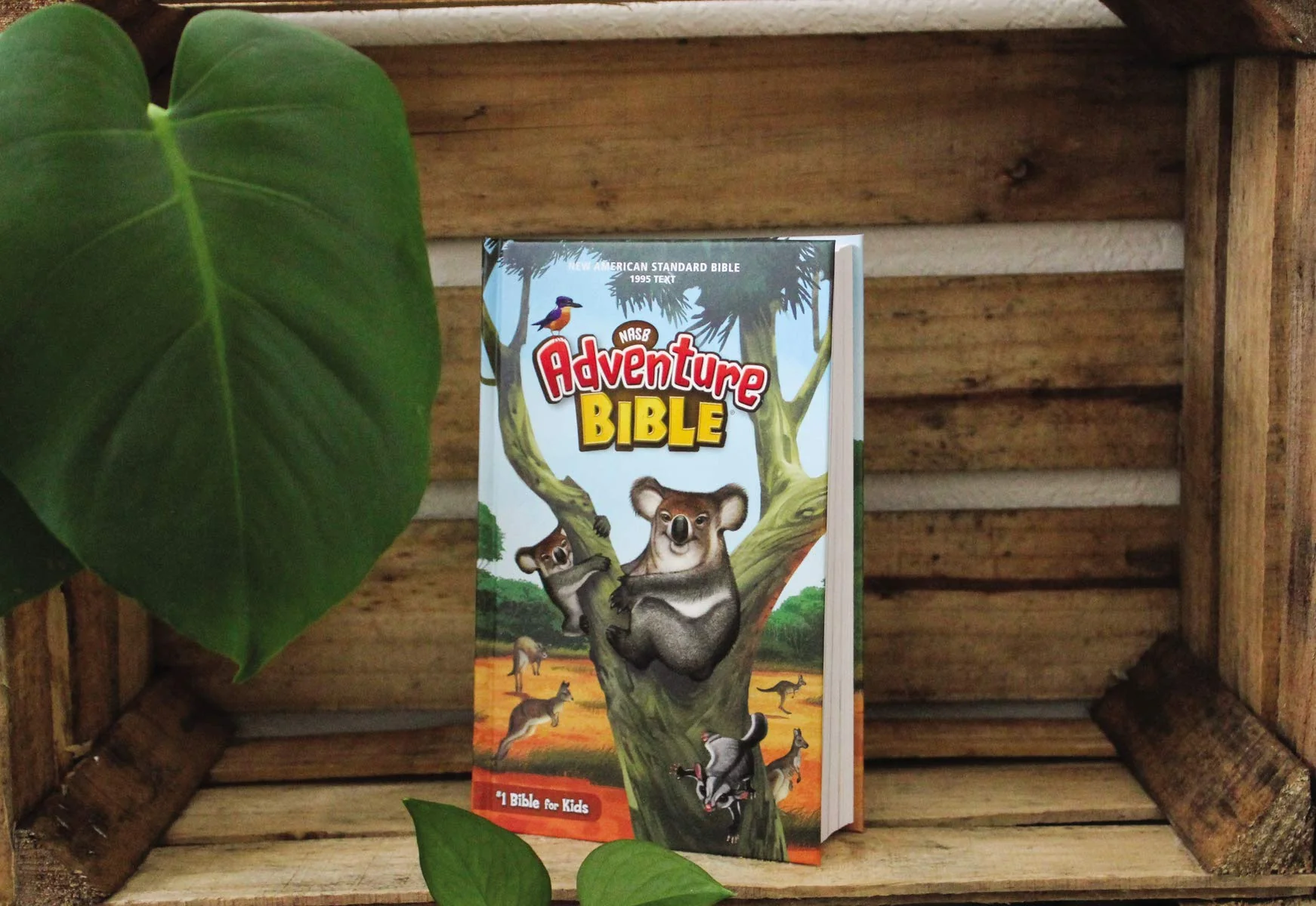 NASB, Adventure Bible, Full Color Interior, Red Letter, 1995 Text, Comfort Print - Image 3