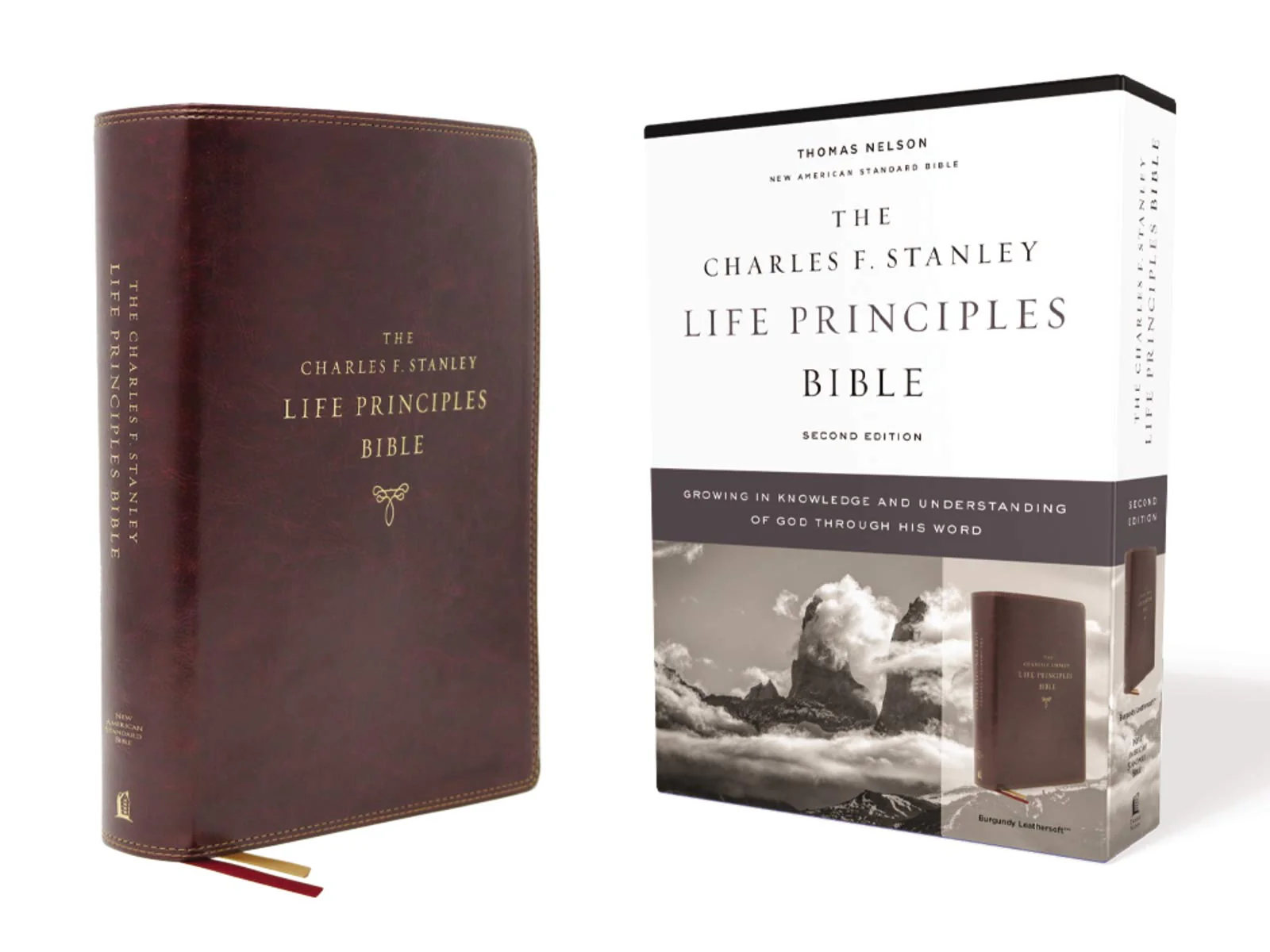 NASB, Charles F. Stanley Life Principles Bible, 2nd Edition, Comfort Print: Holy Bible, New American Standard Bible - Image 14