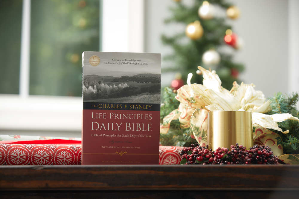 NASB, The Charles F. Stanley Life Principles Daily Bible, Paperback, 1995 Text: Holy Bible, New American Standard Bible - Image 11