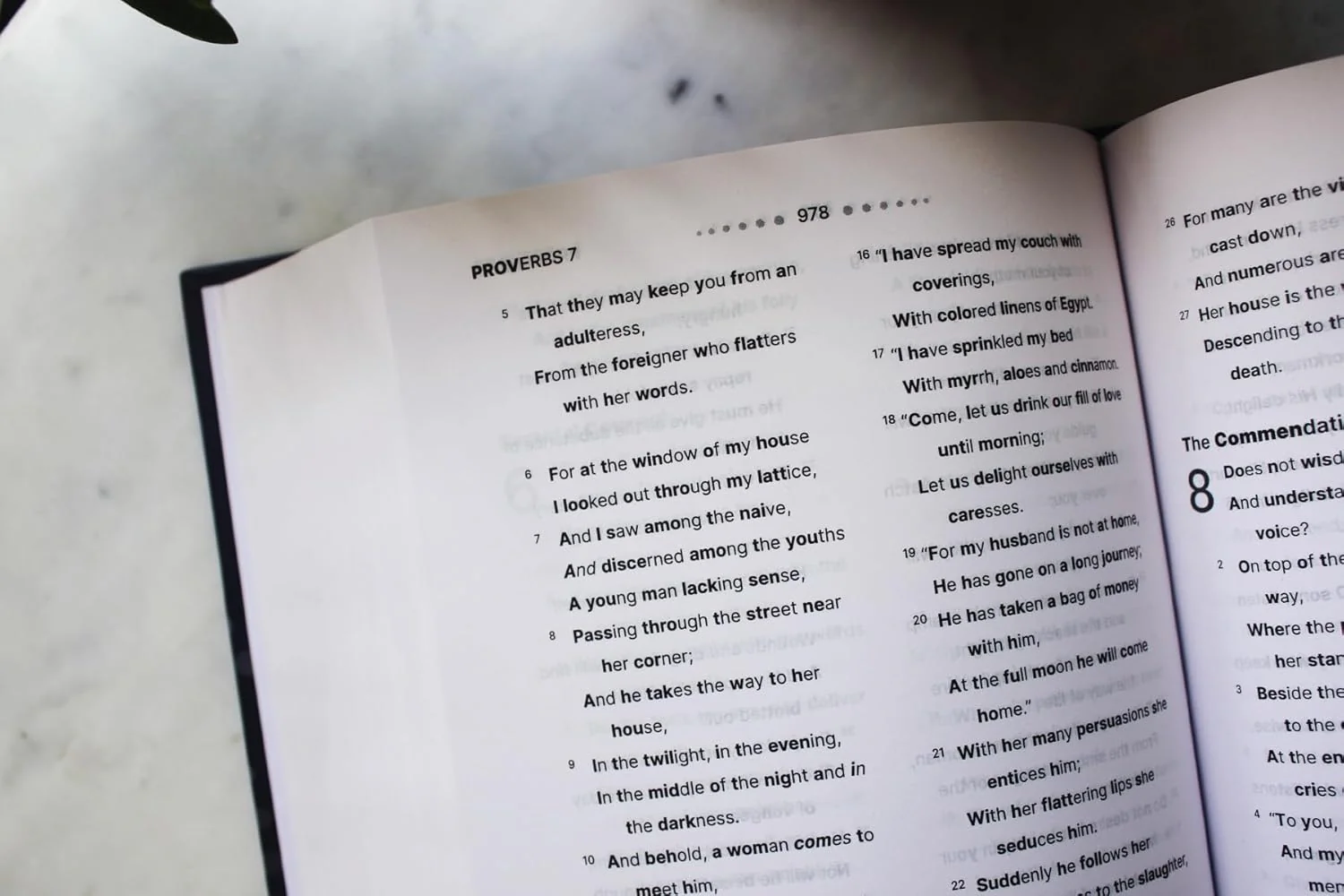 NASB, Clear Focus Bible: Read more of the Bible with better focus using the Bionic Reading® Method - Image 10