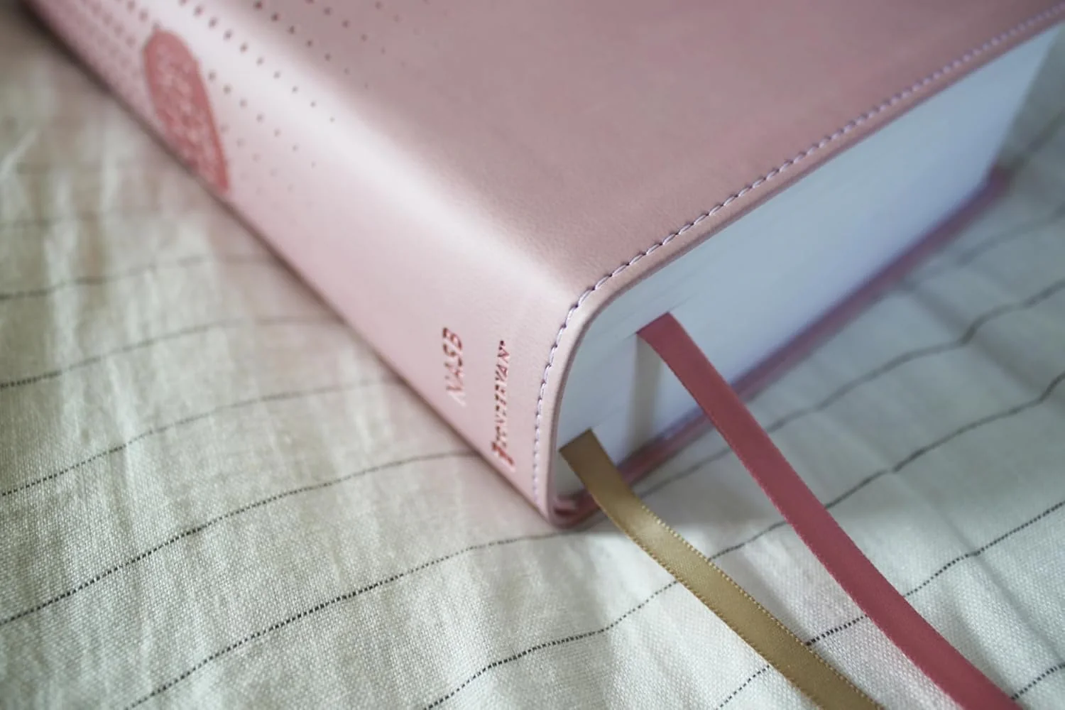 NASB, Clear Focus Bible: Read more of the Bible with better focus using the Bionic Reading® Method - Image 12