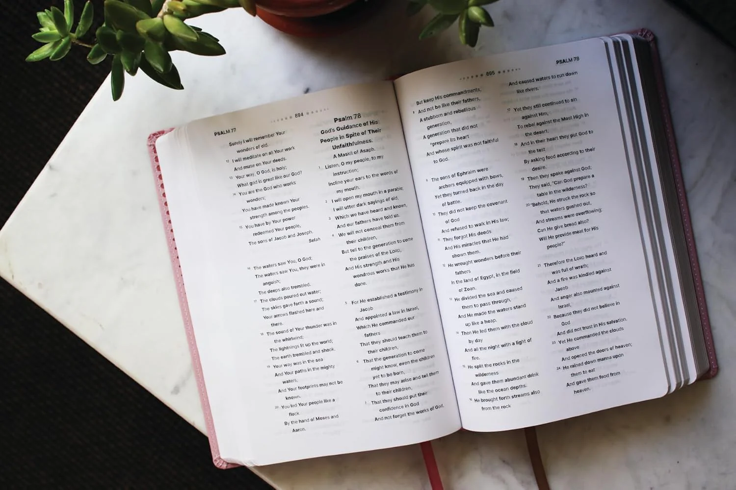NASB, Clear Focus Bible: Read more of the Bible with better focus using the Bionic Reading® Method - Image 14