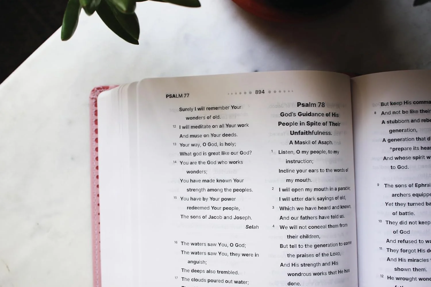 NASB, Clear Focus Bible: Read more of the Bible with better focus using the Bionic Reading® Method - Image 15