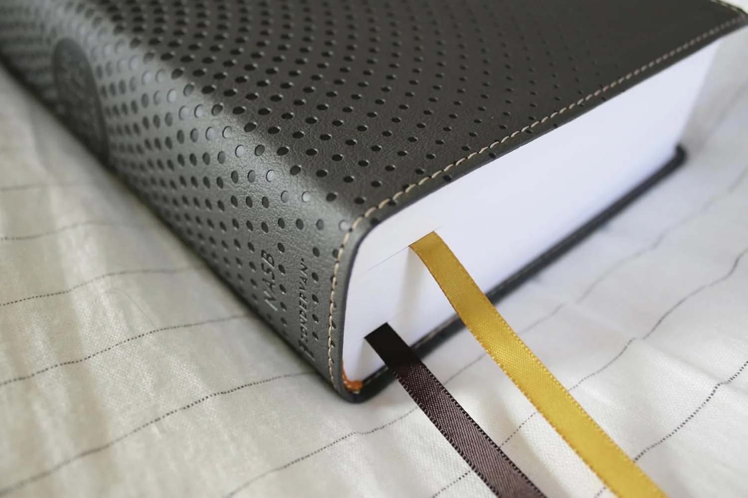 NASB, Clear Focus Bible: Read more of the Bible with better focus using the Bionic Reading® Method - Image 20