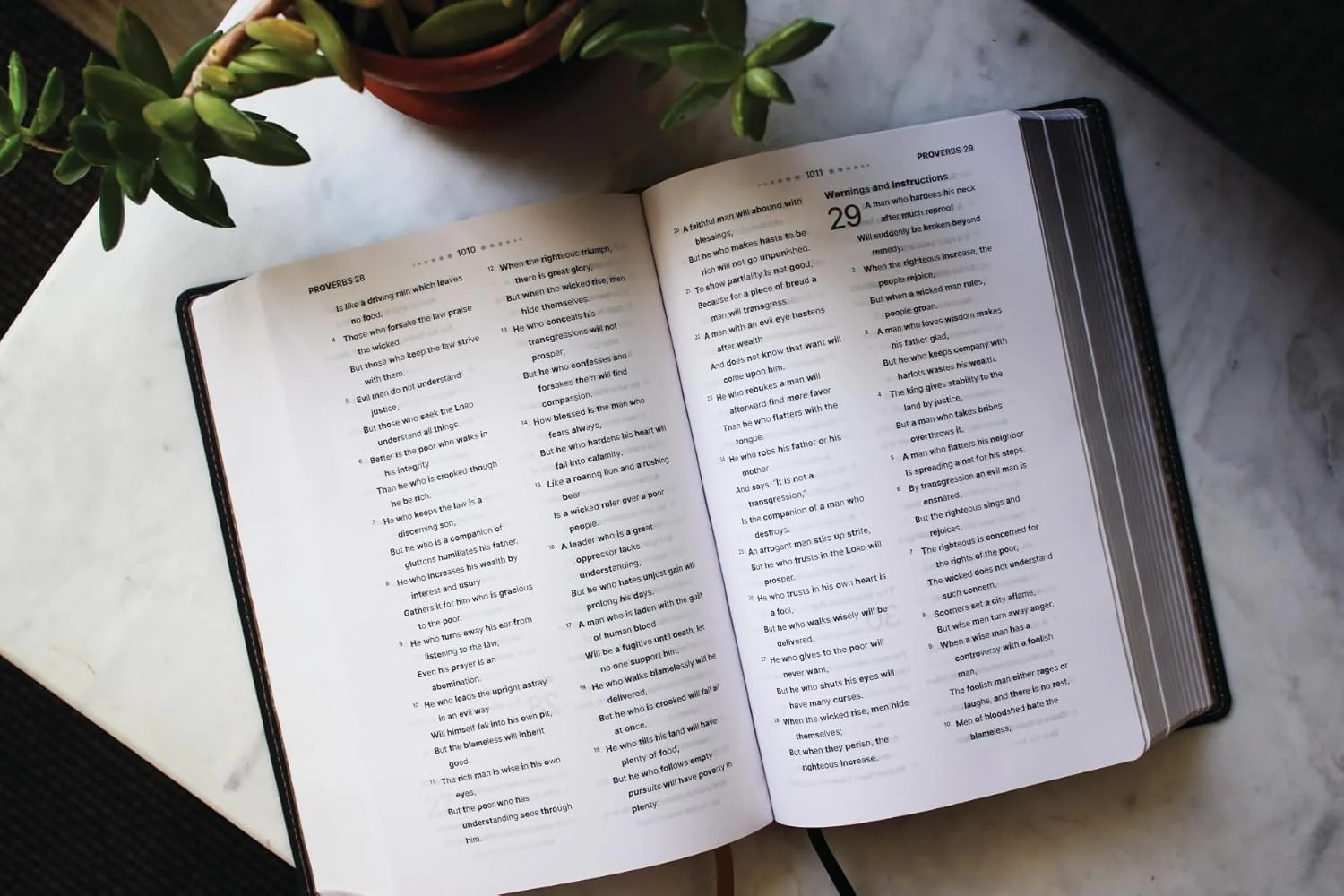 NASB, Clear Focus Bible: Read more of the Bible with better focus using the Bionic Reading® Method - Image 21