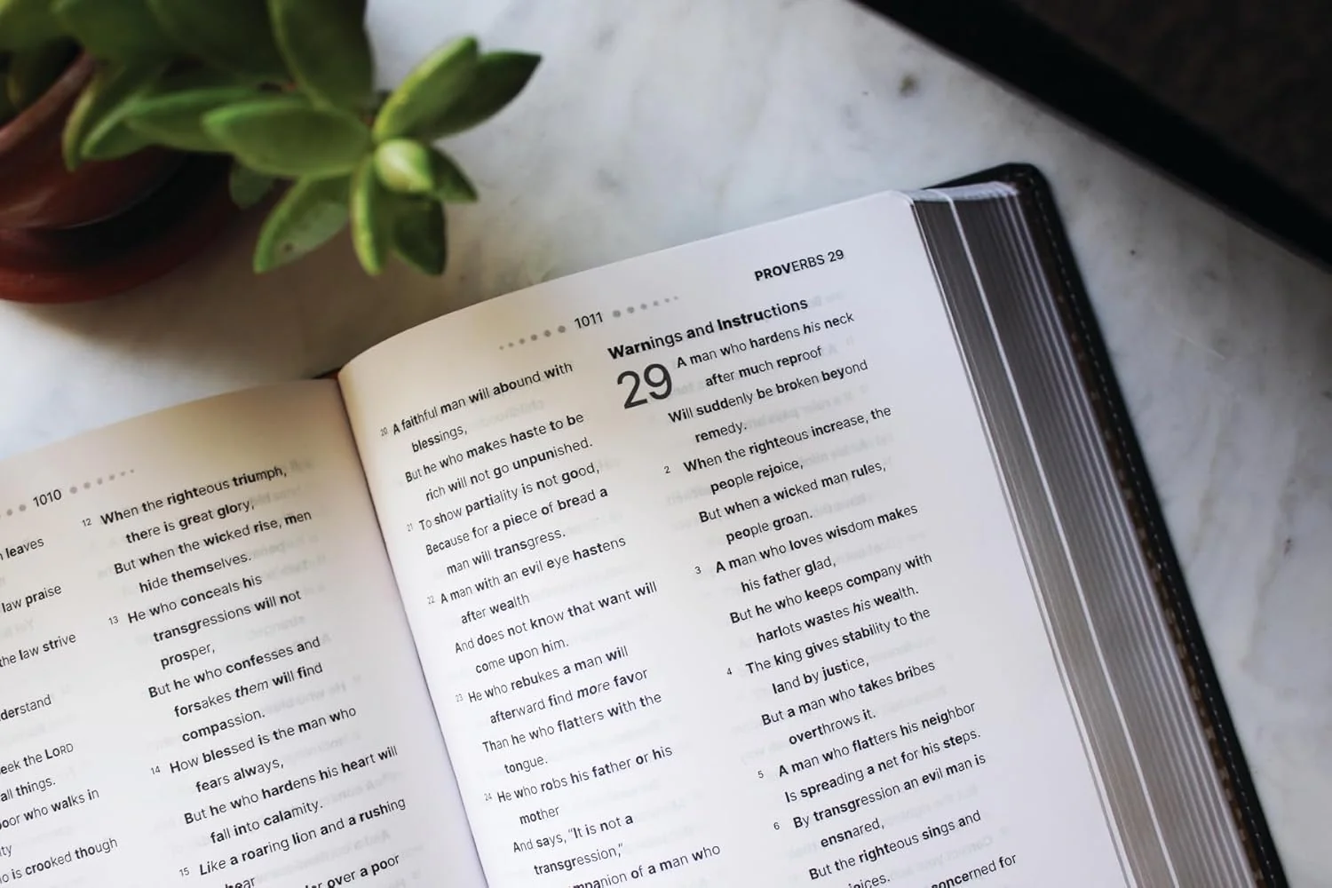 NASB, Clear Focus Bible: Read more of the Bible with better focus using the Bionic Reading® Method - Image 22