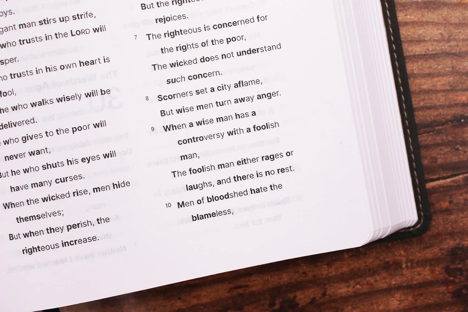 NASB, Clear Focus Bible: Read more of the Bible with better focus using the Bionic Reading® Method - Image 24