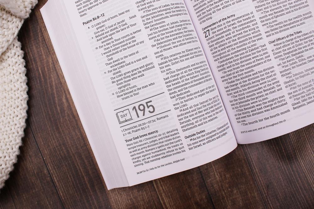 NASB, Daily Scripture, Paperback, White/Olive, 1995 Text, Comfort Print: 365 Days to Read Through the Whole Bible in a Year - Image 8