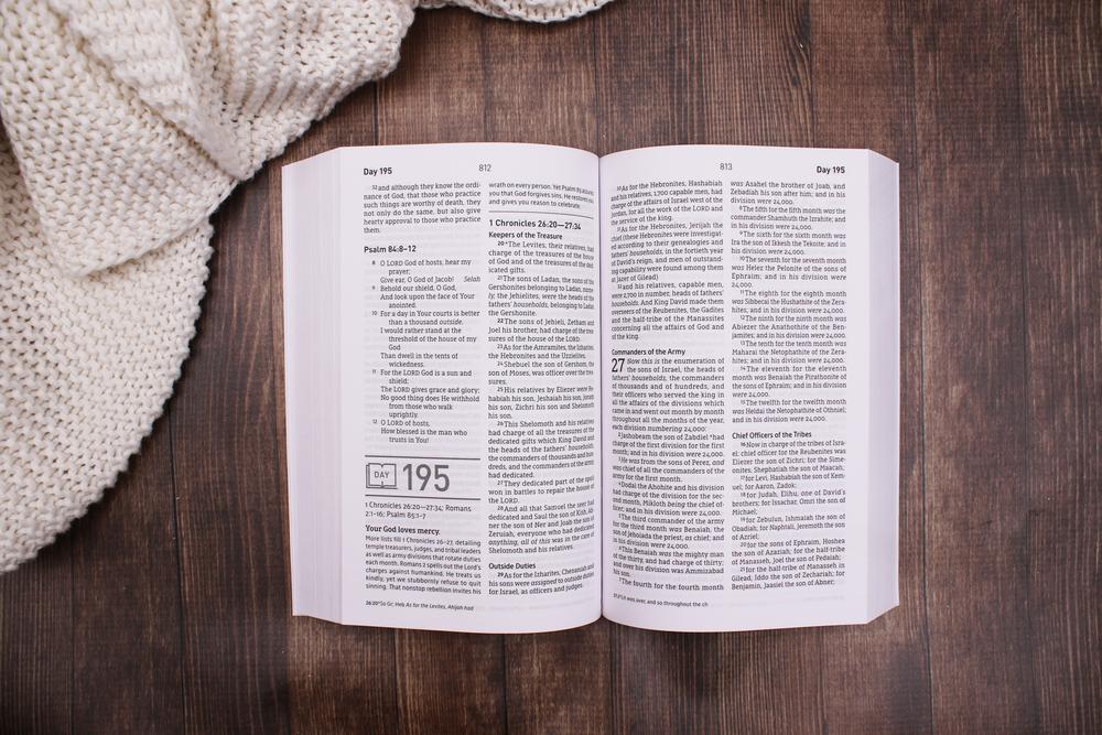 NASB, Daily Scripture, Paperback, White/Olive, 1995 Text, Comfort Print: 365 Days to Read Through the Whole Bible in a Year - Image 9