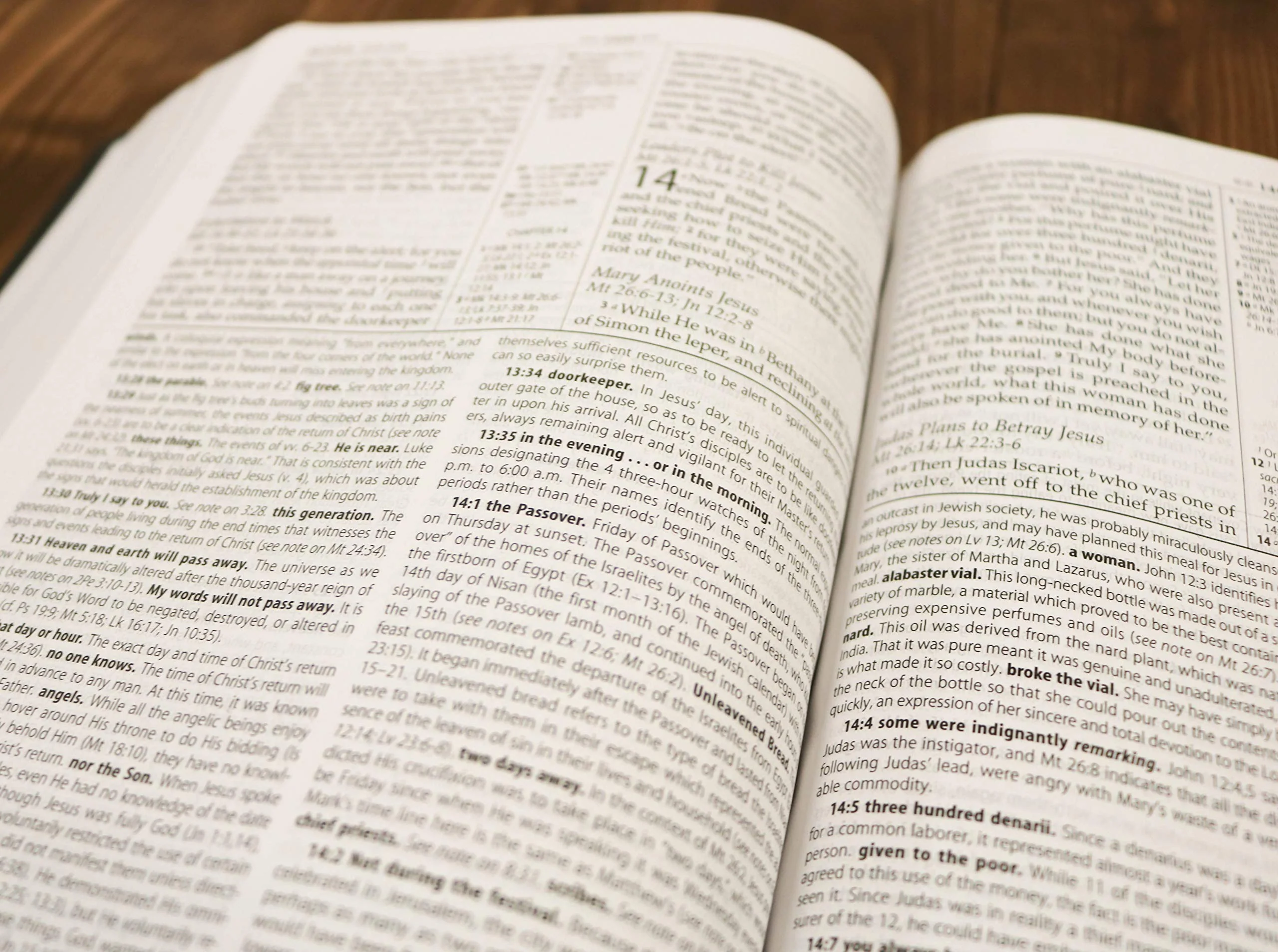 NASB, MacArthur Study Bible, Large Print: Holy Bible, New American Standard Bible - Image 11