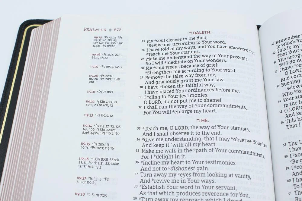NASB, Single-Column Reference Bible, Wide Margin, Premium Goatskin Leather, Black, Premier Collection, Black Letter, 1995 Text, Art Gilded Edges, Comfort Print - Image 8