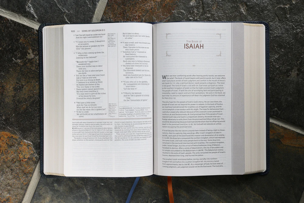 NASB, The Grace and Truth Study Bible, Red Letter Edition, 1995 Text, Comfort Print - Image 29