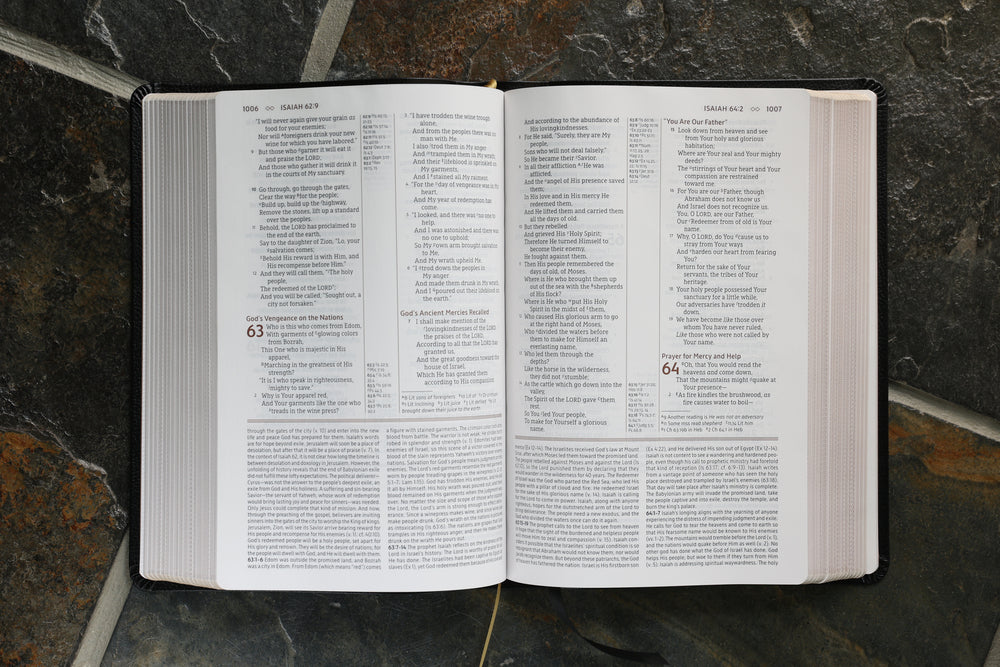 NASB, The Grace and Truth Study Bible, Red Letter Edition, 1995 Text, Comfort Print - Image 37