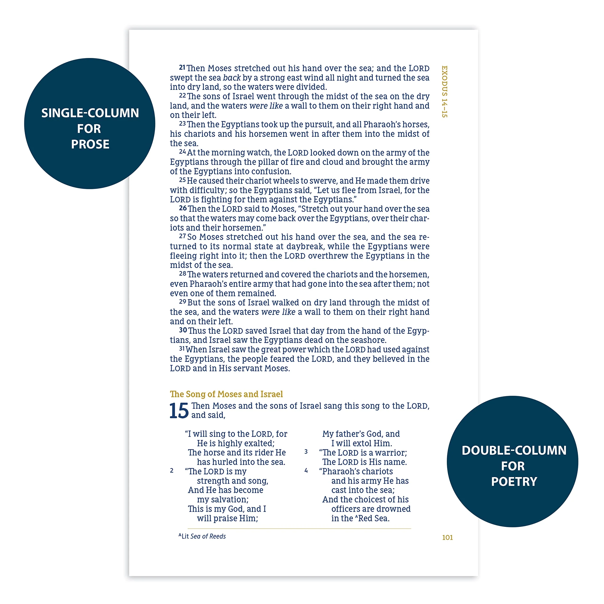 NASB, Thinline Bible, Large Print, Passaggio Setting, Red Letter Edition, 1995 Text, Comfort Print: Elegantly uniting single and double columns into one Passaggio Setting Bible design - Image 10