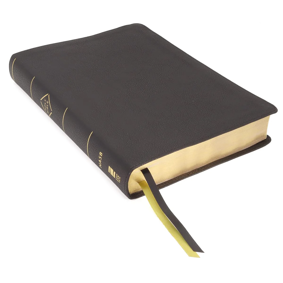 NASB, Thinline Bible, Large Print, Passaggio Setting, Red Letter Edition, 1995 Text, Comfort Print: Elegantly uniting single and double columns into one Passaggio Setting Bible design - Image 5