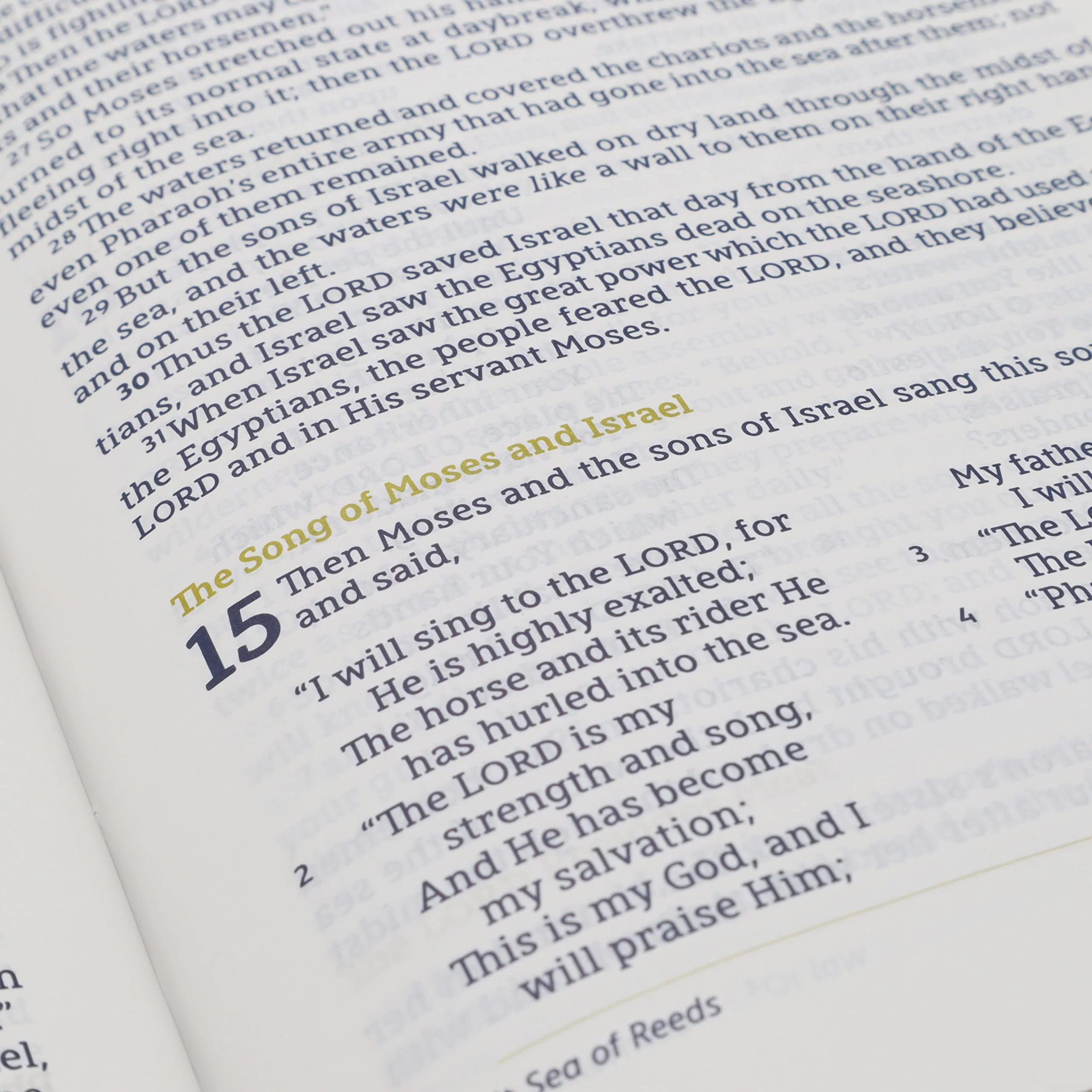NASB, Thinline Bible, Large Print, Passaggio Setting, Red Letter Edition, 1995 Text, Comfort Print: Elegantly uniting single and double columns into one Passaggio Setting Bible design - Image 9