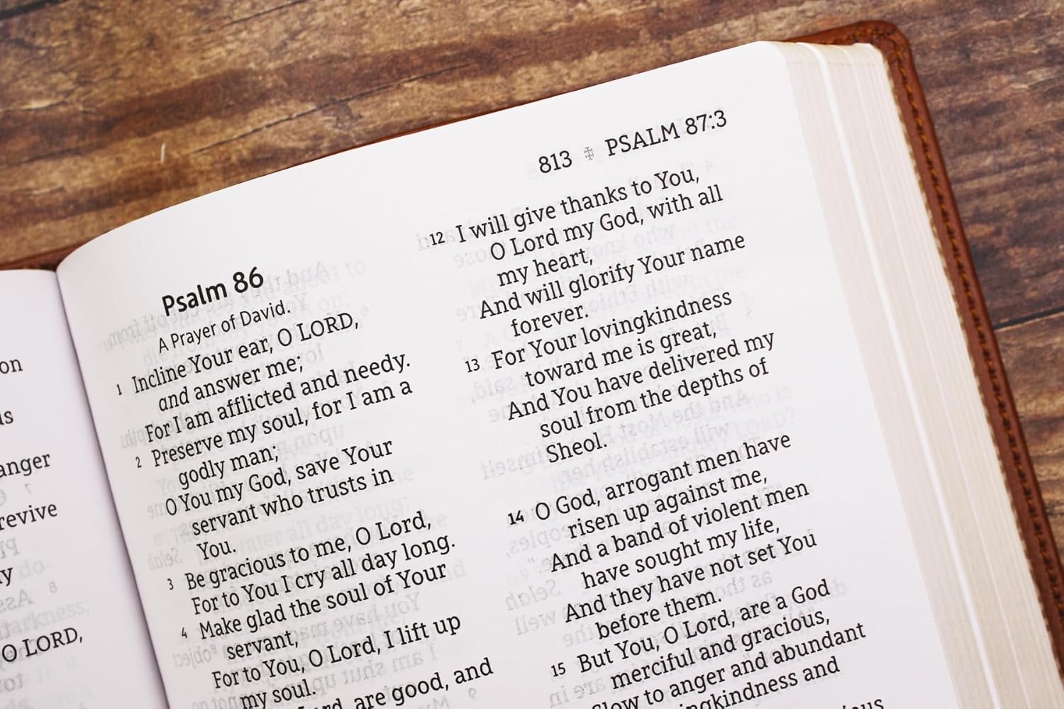 NASB, Personal Size Bible, Large Print, Red Letter, 1995 Text, Comfort Print - Image 20