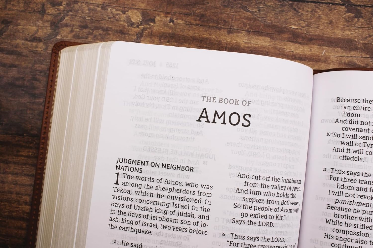 NASB, Personal Size Bible, Large Print, Red Letter, 1995 Text, Comfort Print - Image 21