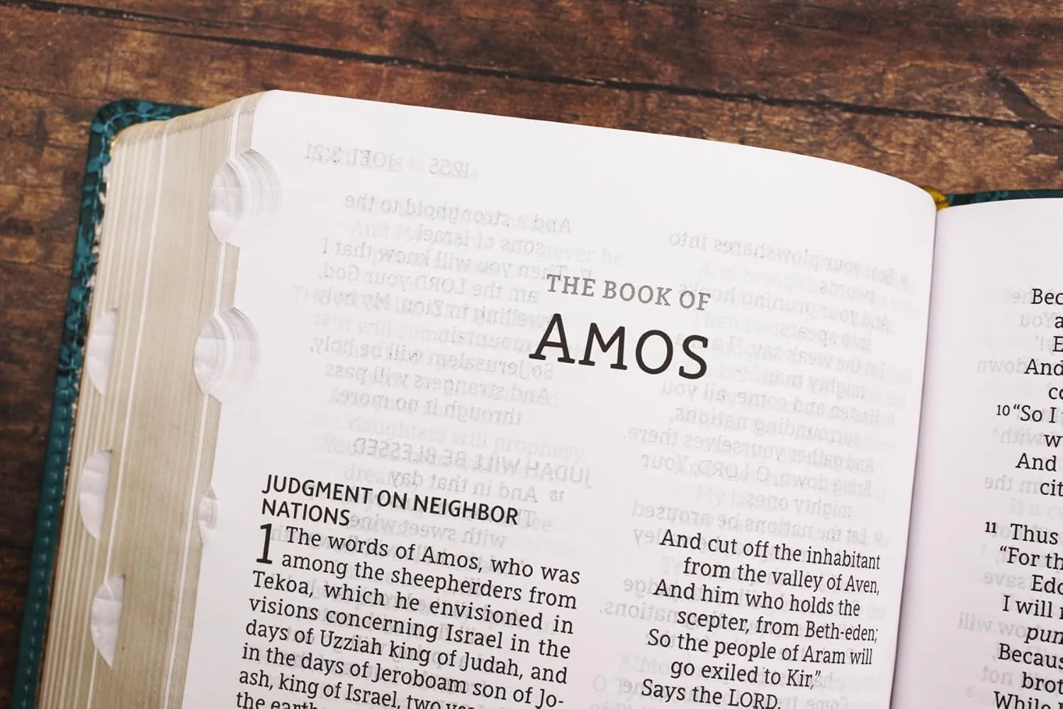 NASB, Personal Size Bible, Large Print, Red Letter, 1995 Text, Comfort Print - Image 30