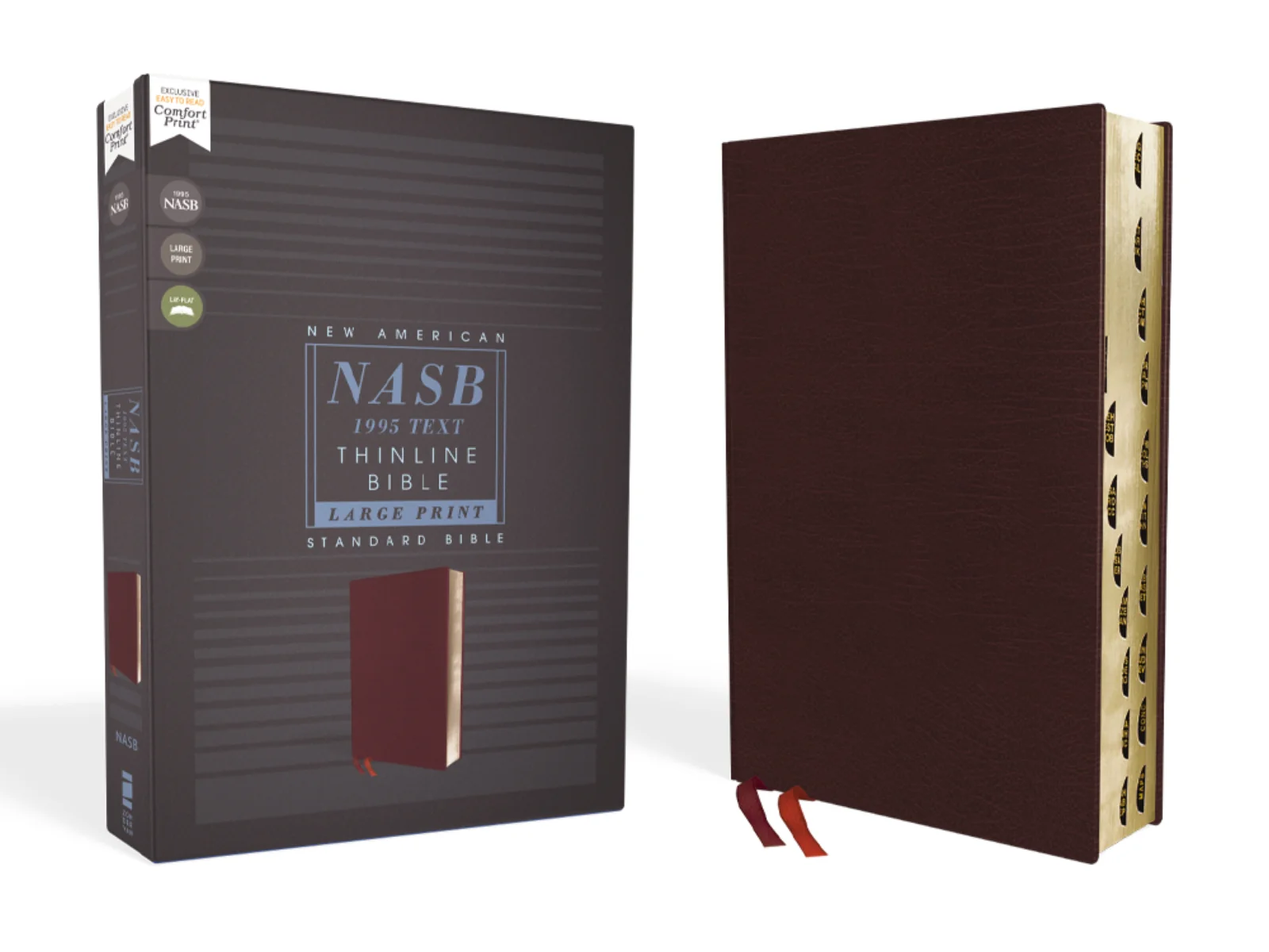 NASB, Thinline Bible, Large Print, Red Letter Edition, 1995 Text, Comfort Print - Image 4