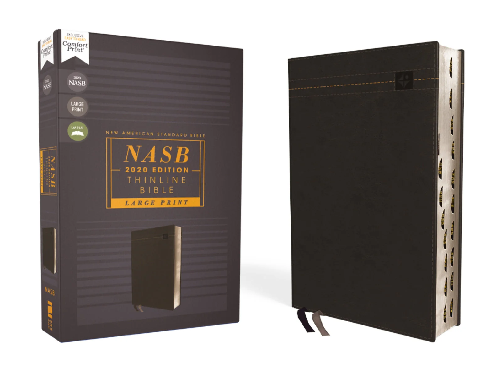 NASB, Thinline Bible, Large Print, Red Letter Edition, 2020 Text, Comfort Print - Image 4