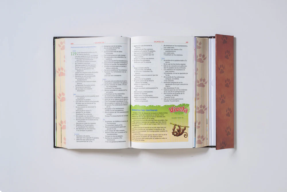 NBLA Biblia Aventura, Interior a color - Image 11