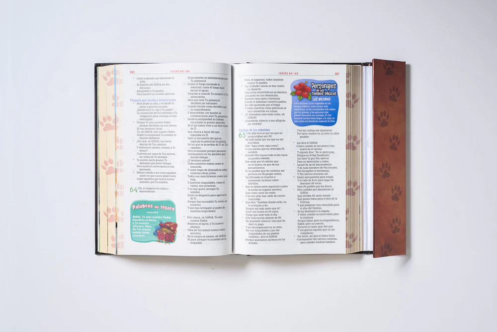 NBLA Biblia Aventura, Interior a color - Image 12