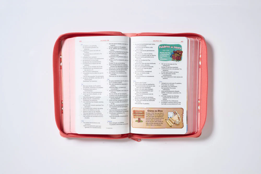 NBLA Biblia Aventura, Interior a color - Image 18