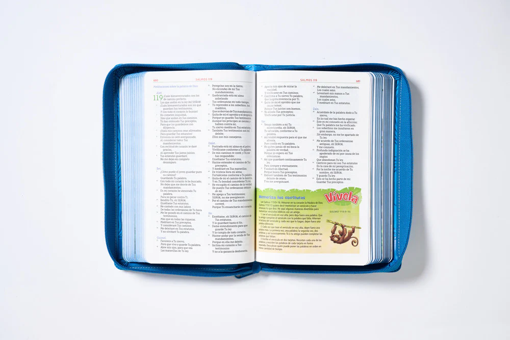 NBLA Biblia Aventura, Interior a color - Image 31