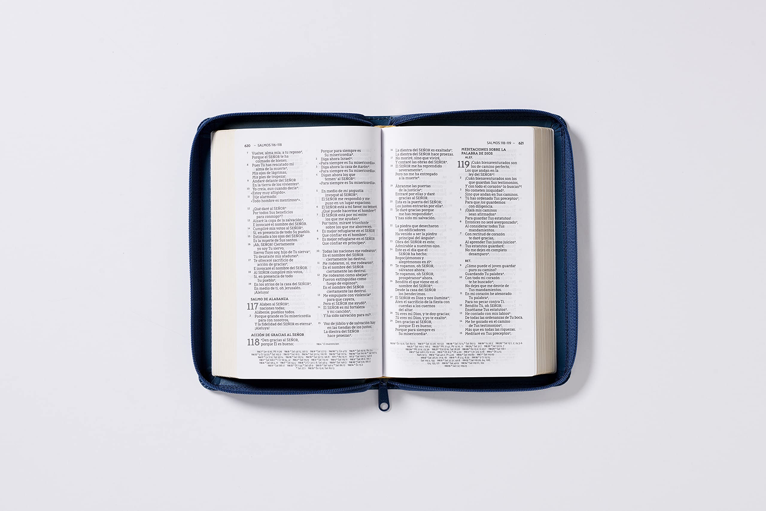 Biblia NBLA Congregacional / Spanish NBLA Pew Bible - Image 14