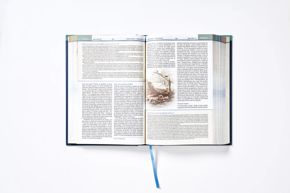 NBLA, Biblia Cronológica de Estudio, Interior a Cuatro Colores - Image 15
