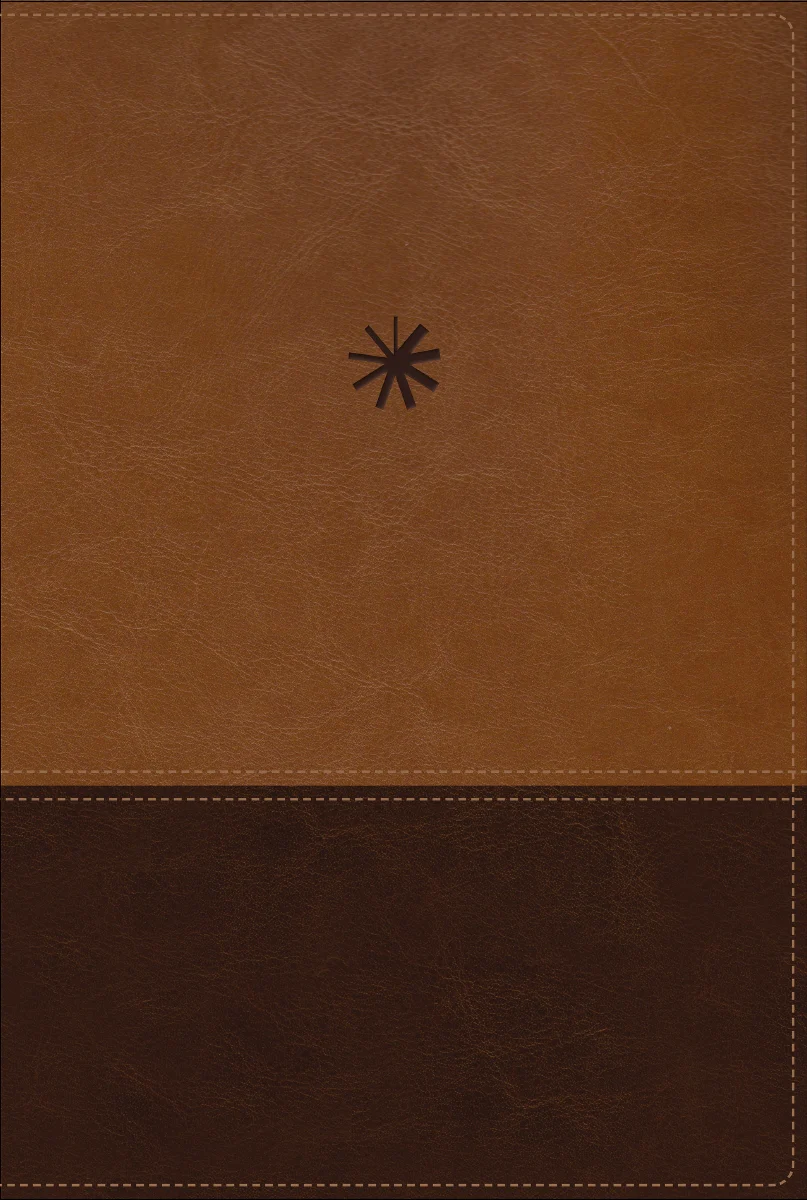 NBLA, Biblia Cronológica de Estudio, Interior a Cuatro Colores - Image 2