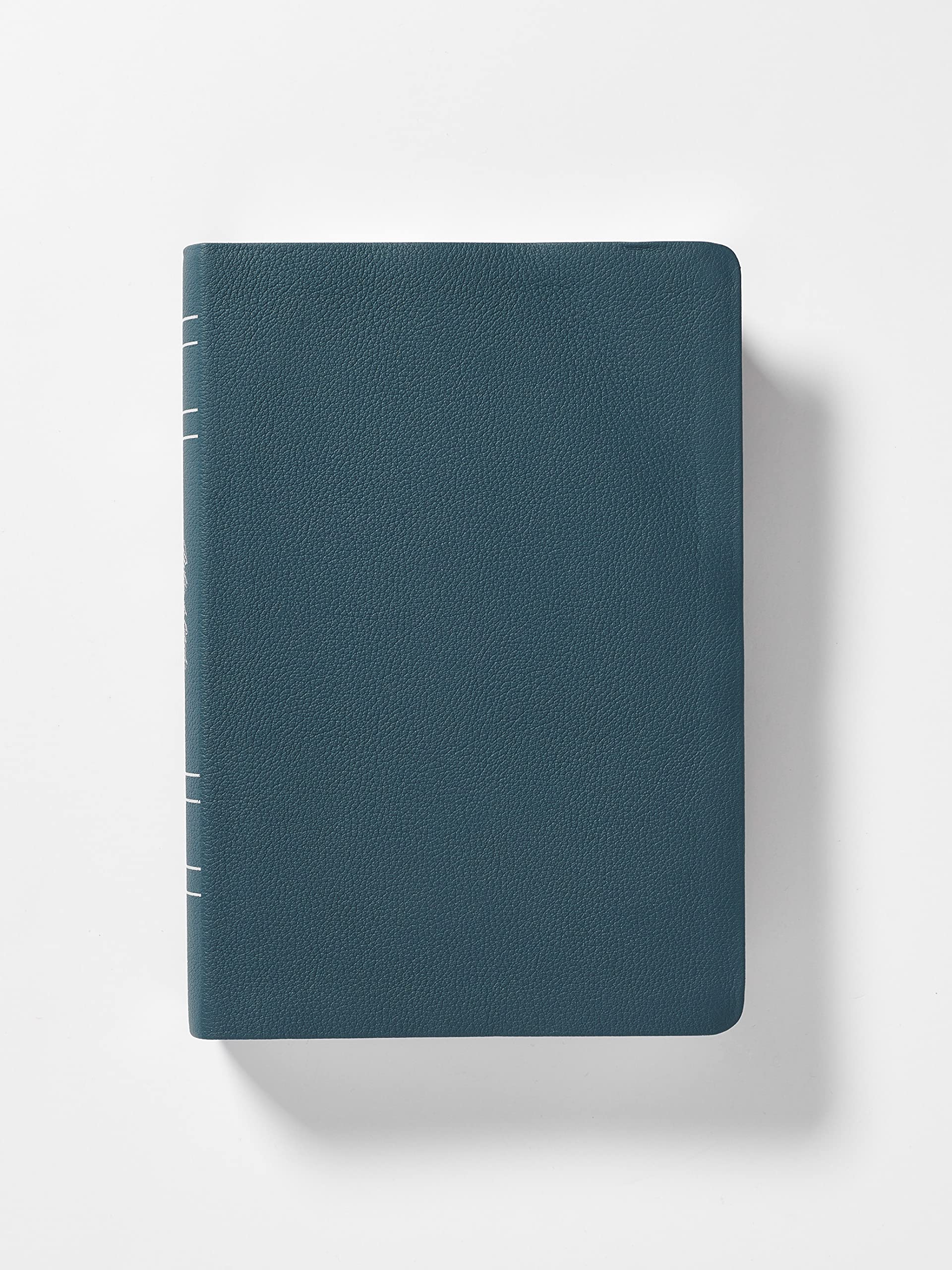 NBLA Biblia de Estudio MacArthur, Interior a dos colores - Image 10