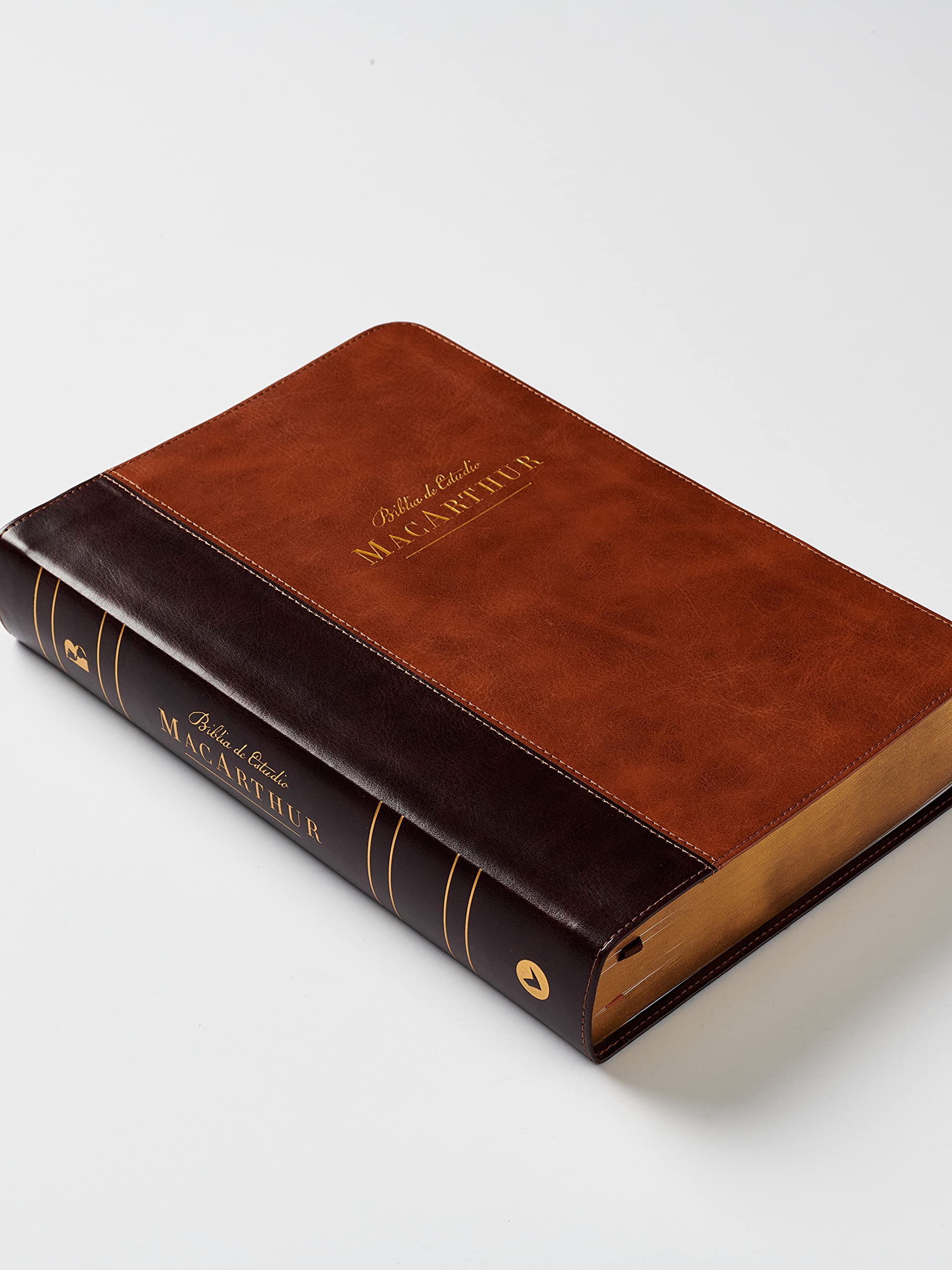 NBLA Biblia de Estudio MacArthur, Interior a dos colores - Image 30