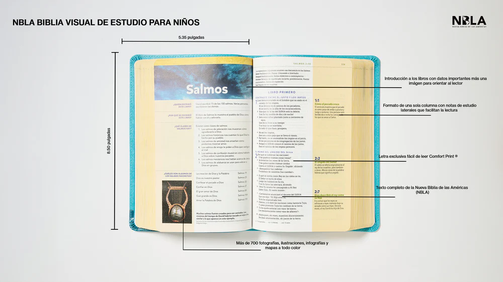 NBLA, Biblia visual de estudio para niños: Explora la Biblia: personajes, lugares e historia - Image 12