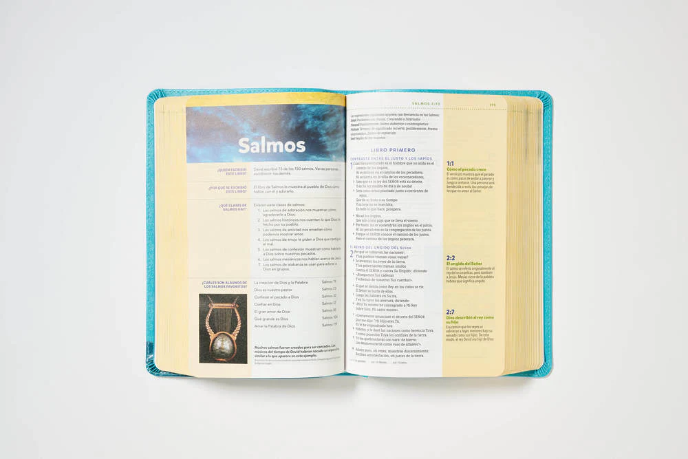 NBLA, Biblia visual de estudio para niños: Explora la Biblia: personajes, lugares e historia - Image 13