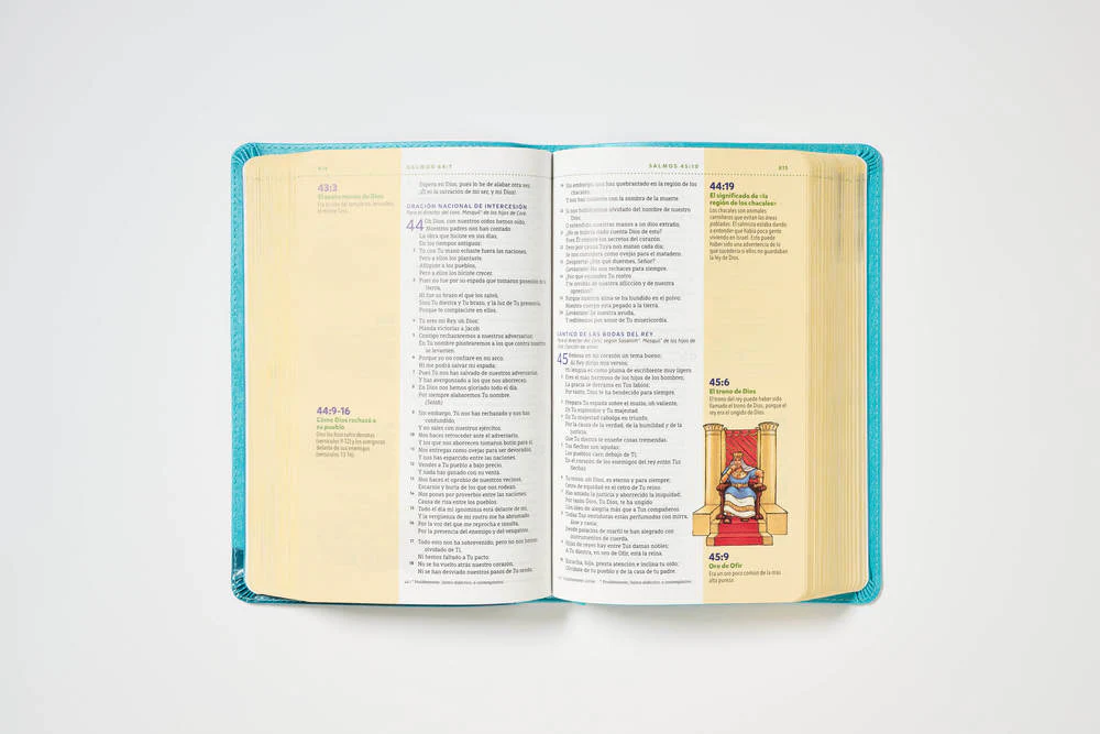 NBLA, Biblia visual de estudio para niños: Explora la Biblia: personajes, lugares e historia - Image 14