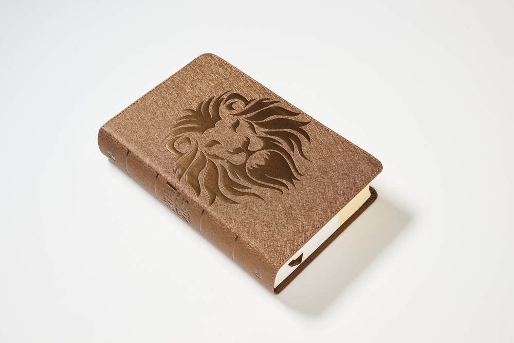 NBLA, Biblia visual de estudio para niños: Explora la Biblia: personajes, lugares e historia - Image 15