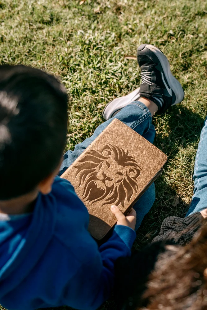 NBLA, Biblia visual de estudio para niños: Explora la Biblia: personajes, lugares e historia - Image 19
