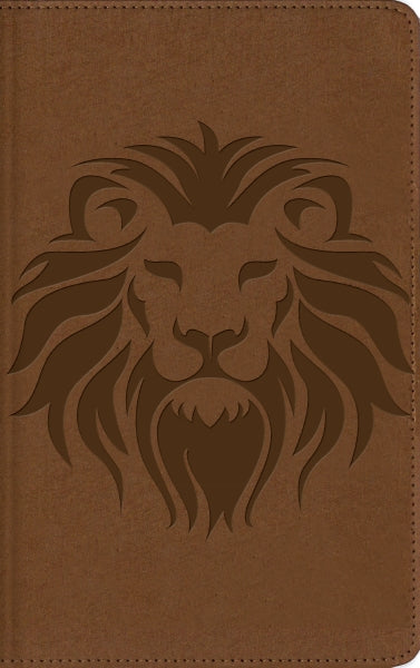 NBLA, Biblia visual de estudio para niños: Explora la Biblia: personajes, lugares e historia - Image 2
