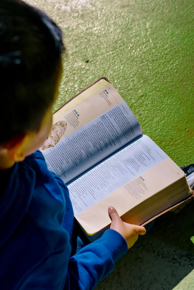 NBLA, Biblia visual de estudio para niños: Explora la Biblia: personajes, lugares e historia - Image 20