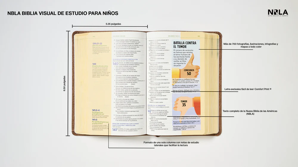 NBLA, Biblia visual de estudio para niños: Explora la Biblia: personajes, lugares e historia - Image 21