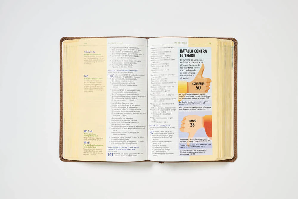 NBLA, Biblia visual de estudio para niños: Explora la Biblia: personajes, lugares e historia - Image 22